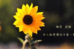 开云sport-黑豹之怒，2026世界杯巅峰对决，喀麦隆横扫墨西哥，努涅斯一剑封喉