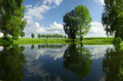 开云sport-赛道黑马，索伯车队逆袭法拉利，维斯塔潘第二中闪耀高光表现