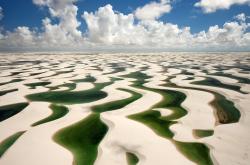 开云体育入口-东方德甲的狐狸獠牙，西方NBA的钢铁雄鹿，同一夜的王者宣言