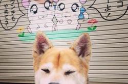 开云体育在线-西甲国家德比之夜，皮克，唯有醒狮不惧深渊