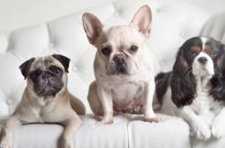 开云体育入口-爆冷与接管，当篮球的偶然性驶入F1街道