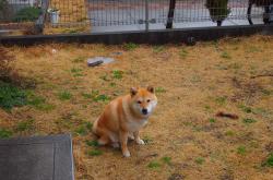 开云体育入口-双重奏，乌克兰斩落冰系的坚韧，与苏亚雷斯燃尽岁月的火焰