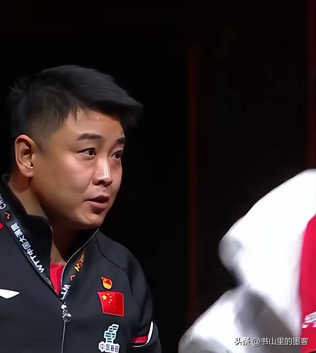 奥地利乒乓球队力克日本乒乓球队，王皓高光表现的简单介绍