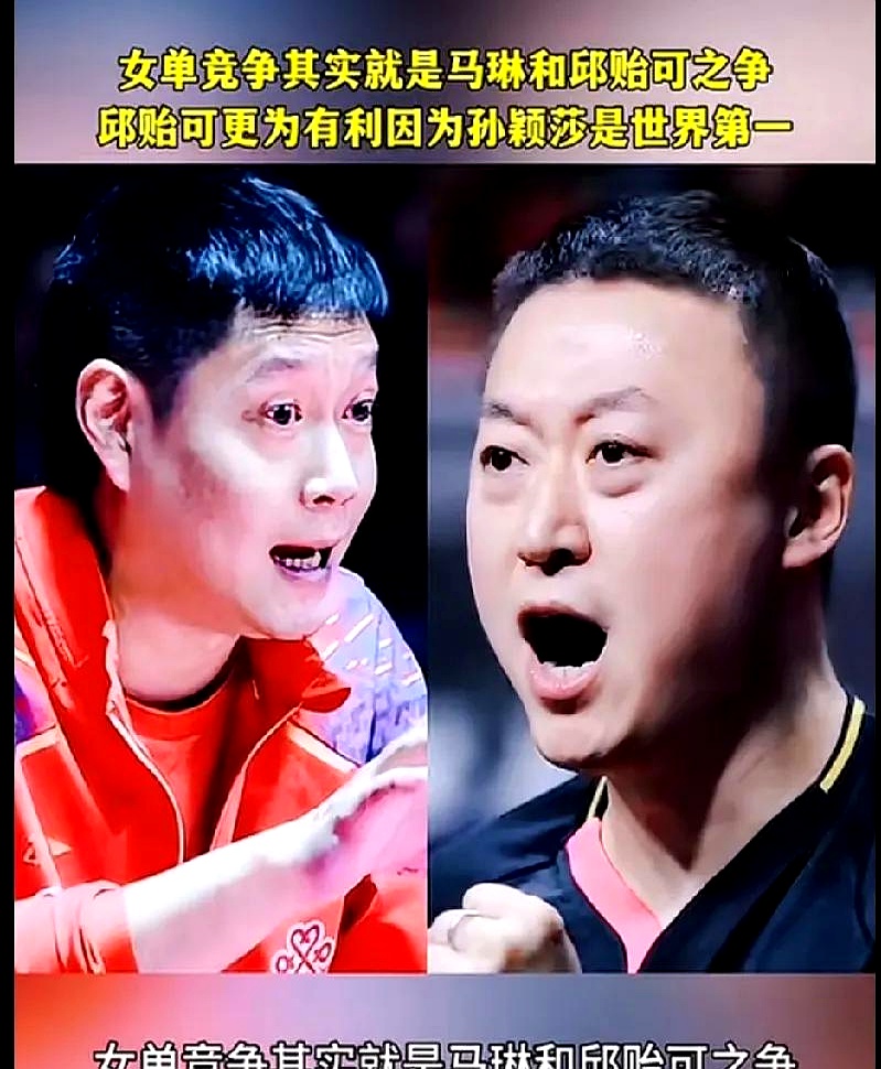 中国羽毛球队完胜印尼羽毛球队，马琳打破历史纪录的简单介绍