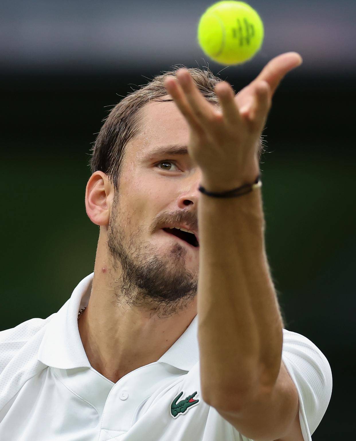 澳网险胜温网，梅德韦杰夫高光表现的简单介绍