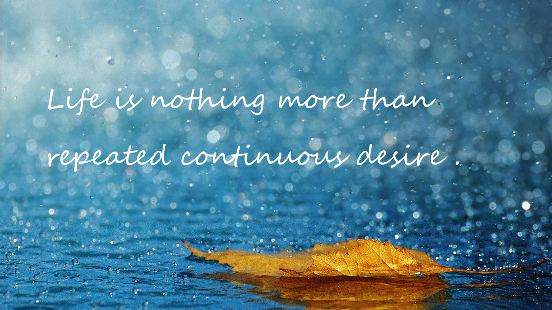 武切维奇最悲壮的告别，48分17篮板撕裂骑士防线，却逃不过公牛被淘汰的宿命