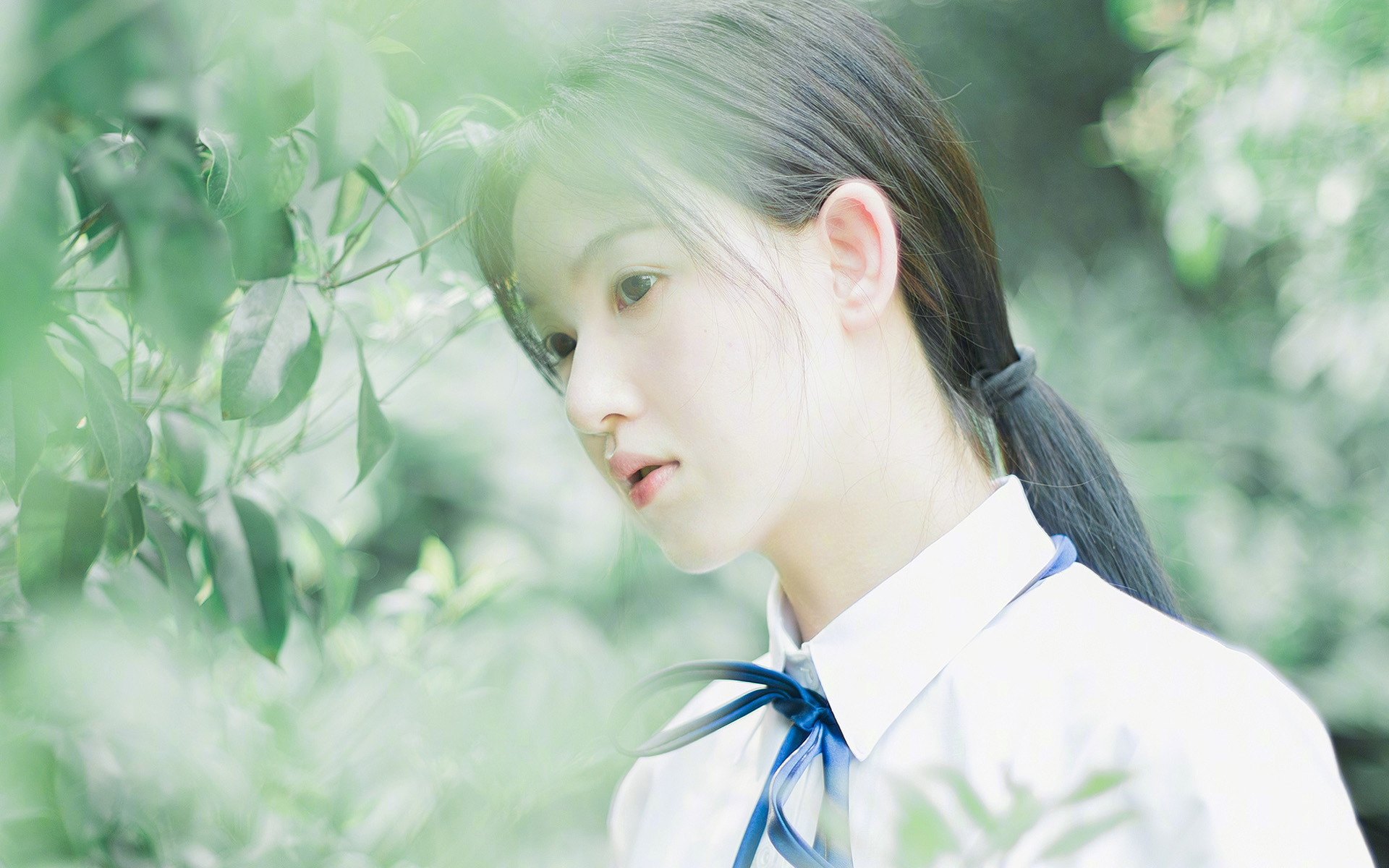 忠诚的丰碑与逆袭的惊雷,阿拉巴续写传奇,马赛点亮冷门之夜