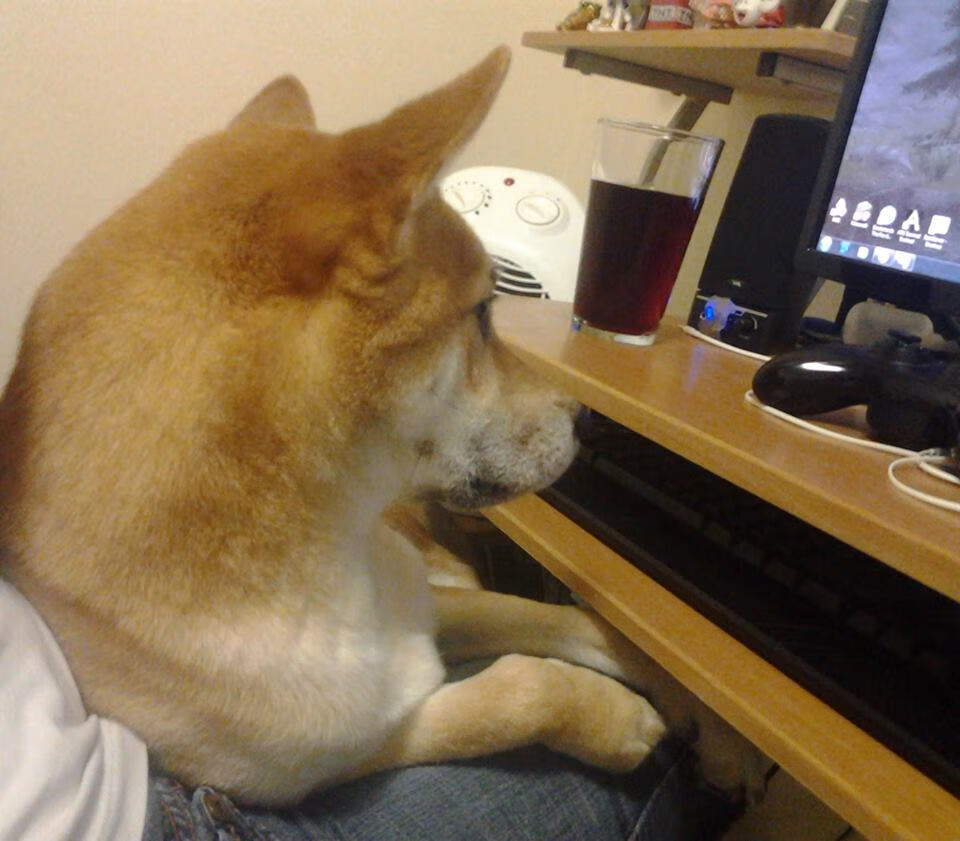 忠诚的丰碑与逆袭的惊雷,阿拉巴续写传奇,马赛点亮冷门之夜