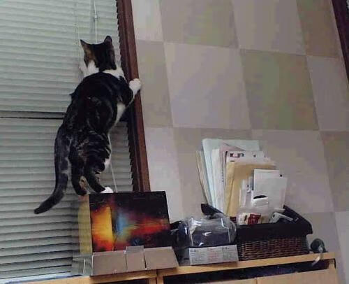 世界尽头的回响，美加墨世界杯焦点战前夜，新疆男篮如何踏平勇士神话