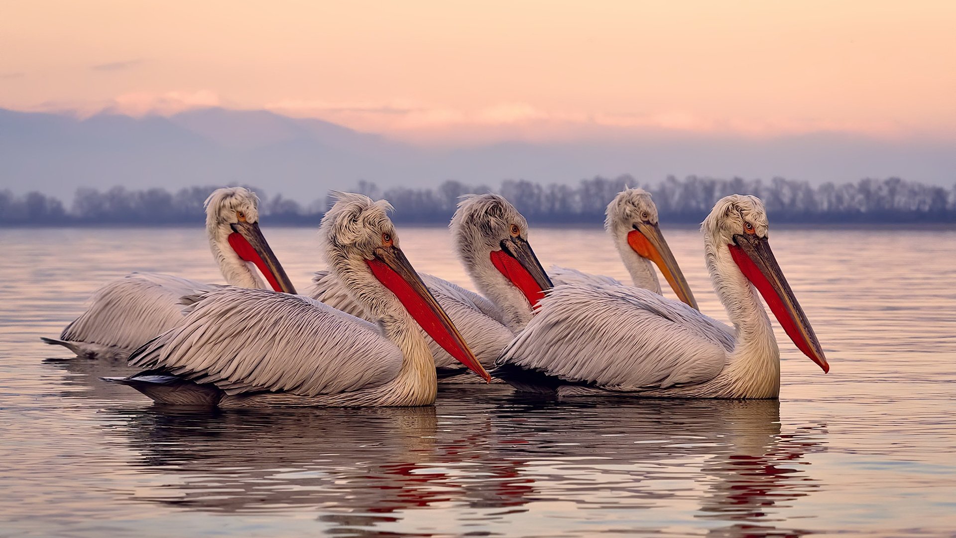 NBA季后赛焦点战，乔丹之后首胜！开拓者4-2淘汰公牛，书写历史新篇