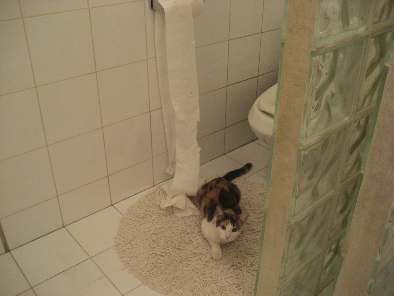 纽约之心与萨克拉门托的试炼，武切维奇如何在巅峰对决中重塑比赛法则