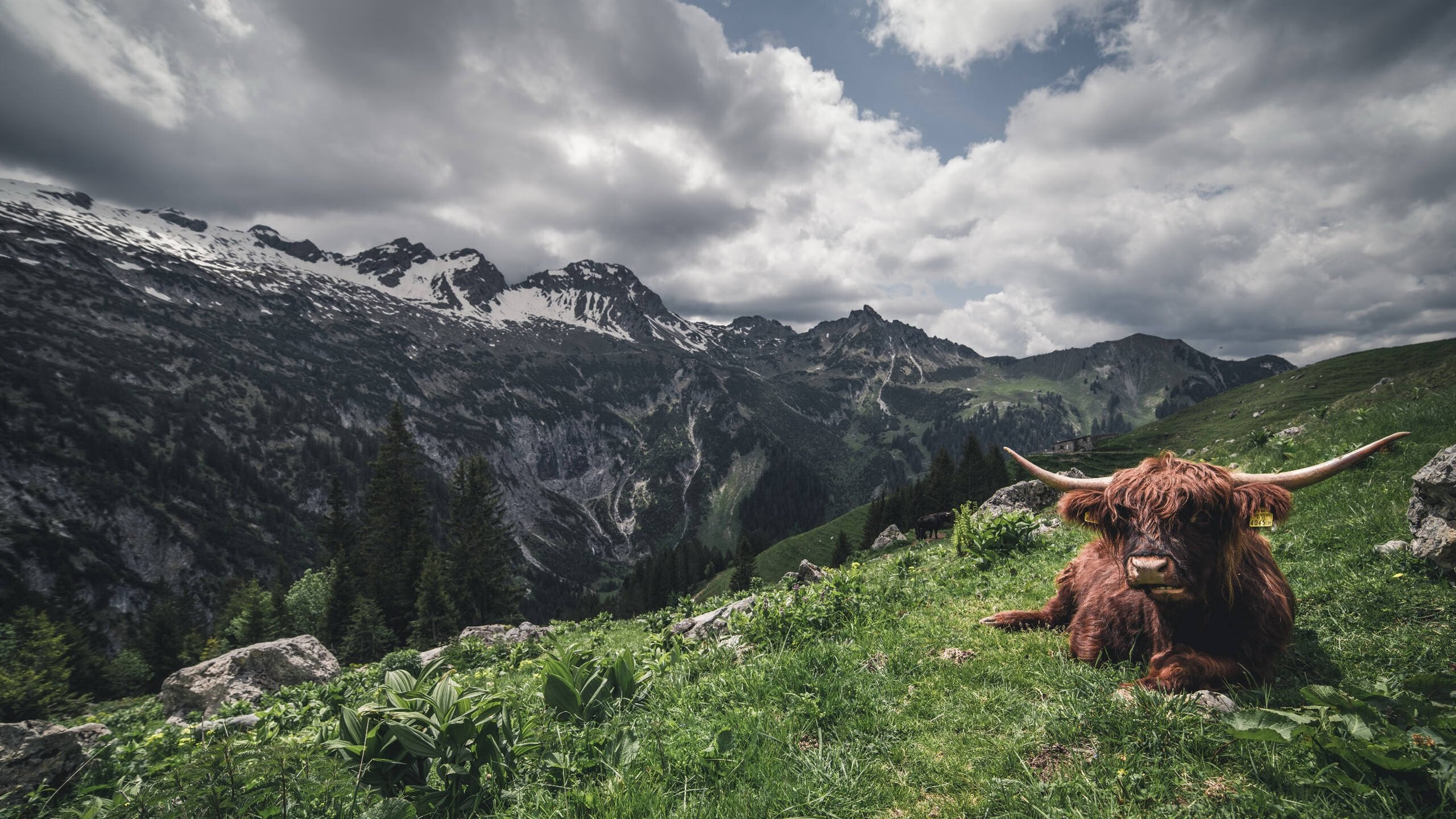 绿茵启示录,塞维利亚的出埃及与哈兰德的神迹降临