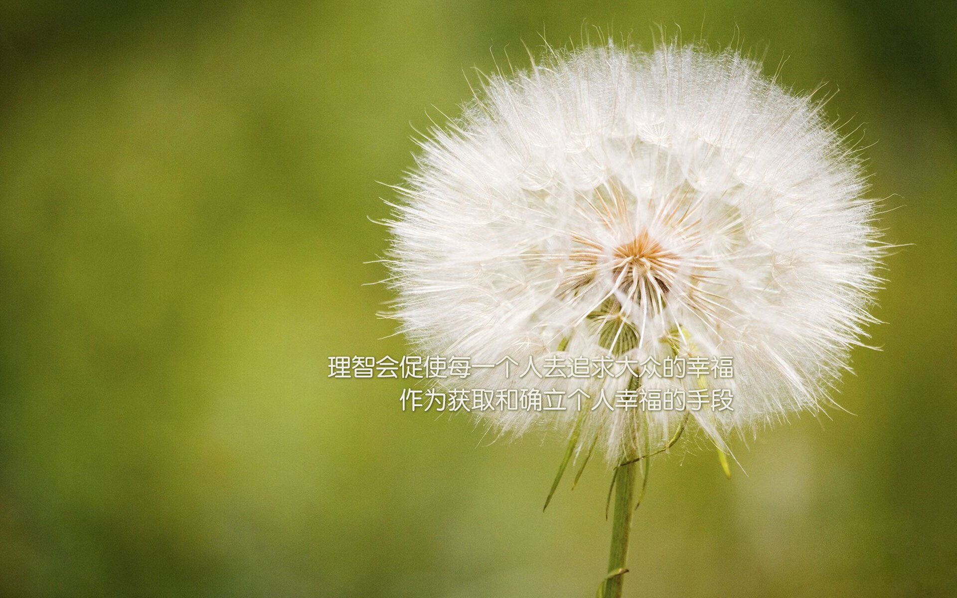 2026世界杯，豪门碰撞中的冷门史诗，苏亚雷斯点燃枫叶之国的奇迹之夜