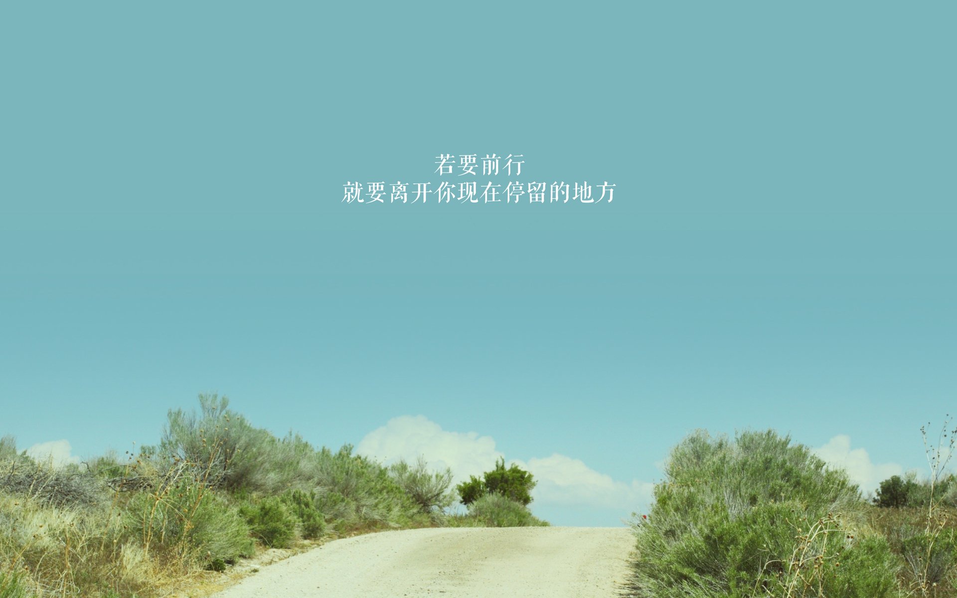 宿命的回响,2026世界杯,捷克与保加利亚的复仇之战,C罗的最后一舞