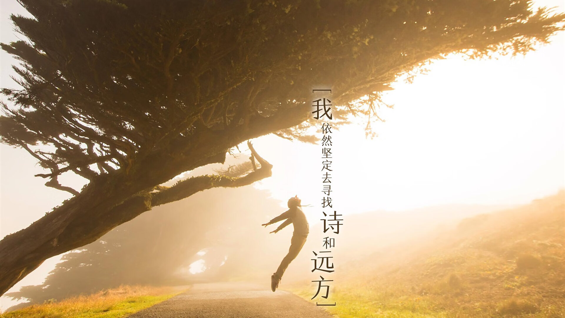 蓝潮席卷布加勒斯特,2026世界杯D组荷兰横扫罗马尼亚,久保建英孤星闪耀,门神铸就钢铁长城