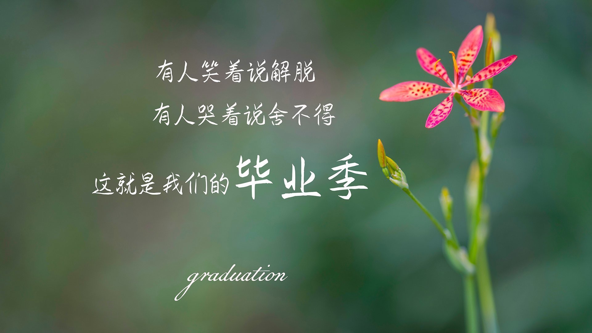 沙漠风暴席卷纽约，2026世界杯H组伊朗力克美国，孙兴慜演绎攻守转换美学